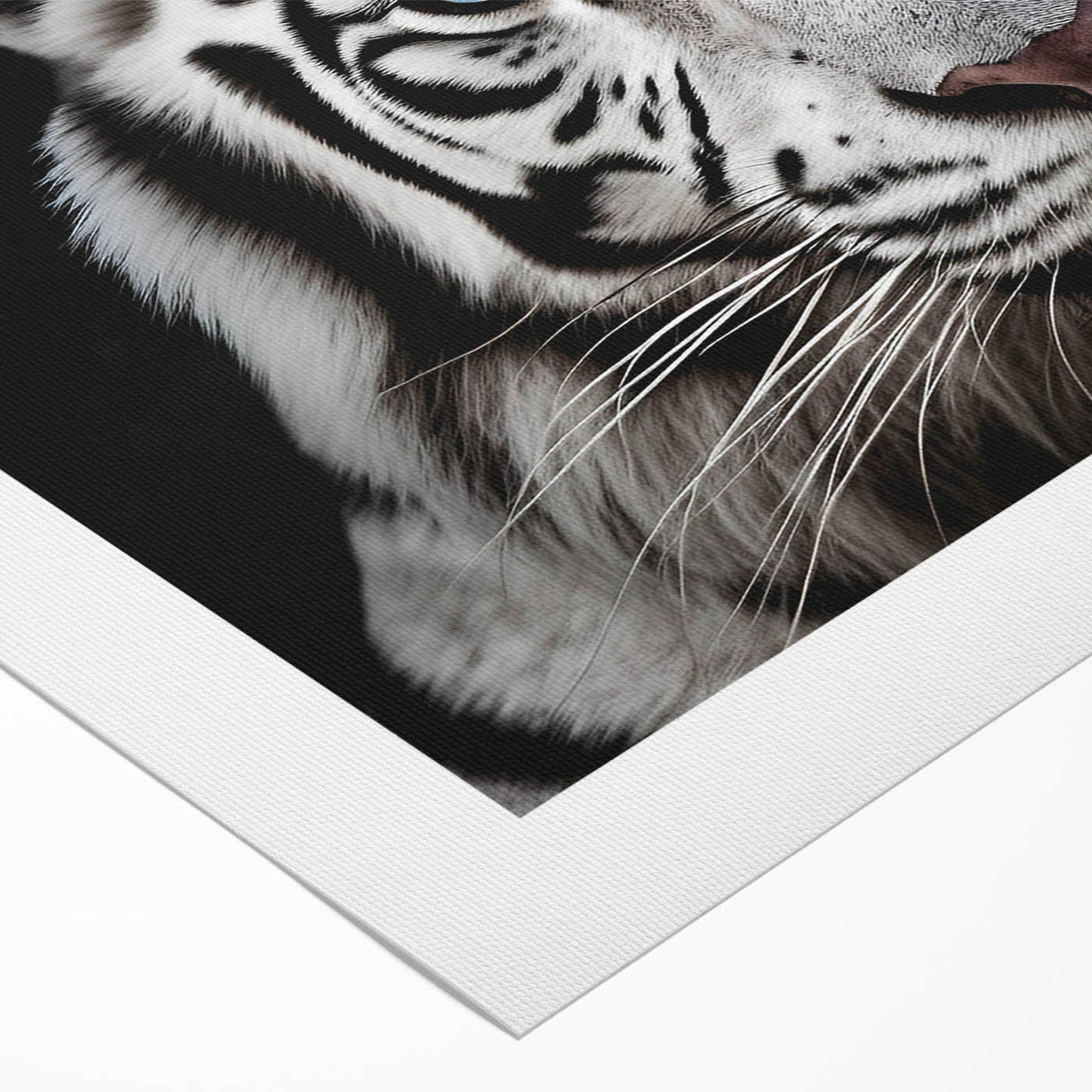 Vibrant rolled canvas wall art showcasing a striking tiger design, featuring rich colors and intricate details, perfect for wildlife enthusiasts and home decor.