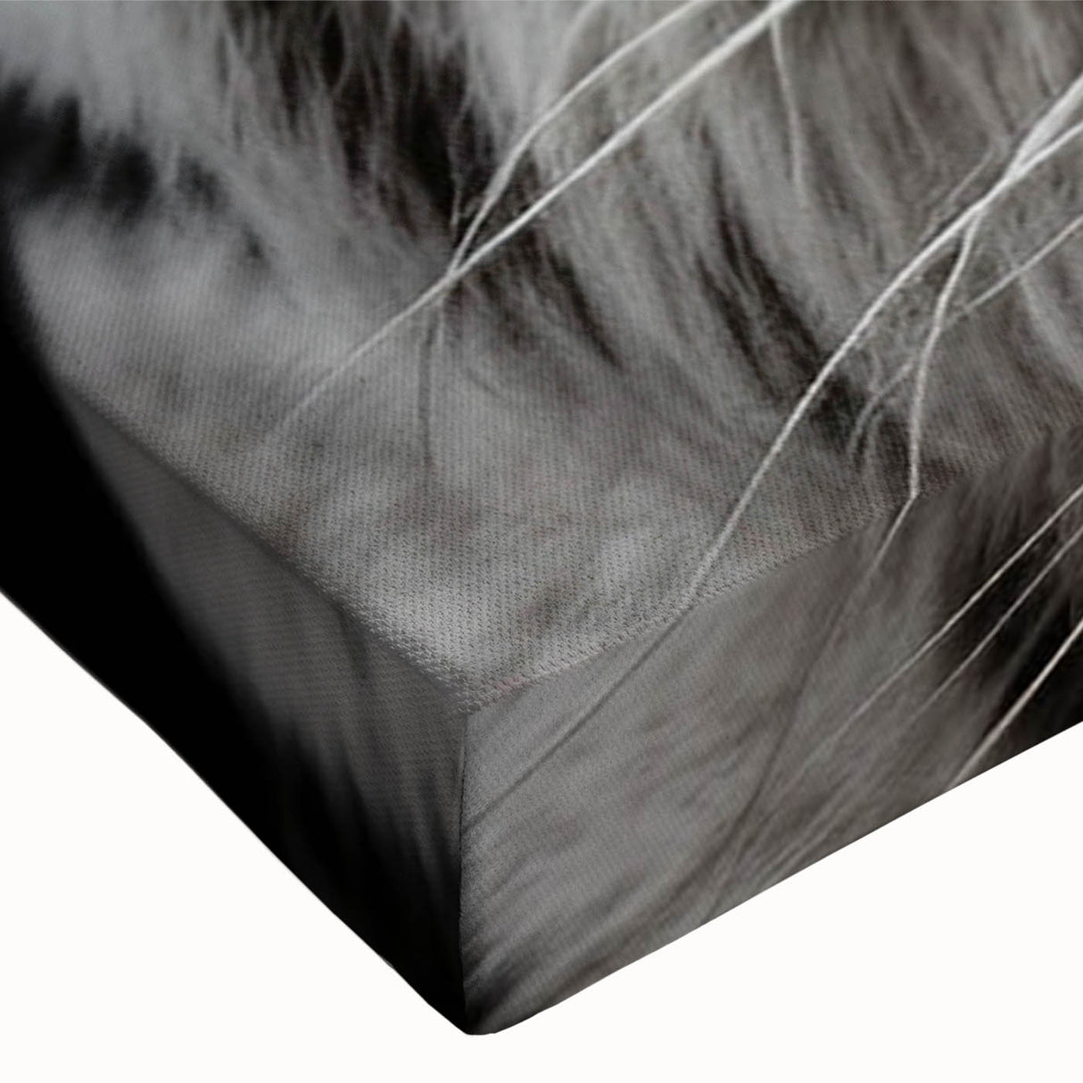 Close-up of a vibrant tiger wall art design on stretched canvas, showcasing intricate details and bold colors, perfect for wildlife enthusiasts and modern decor.