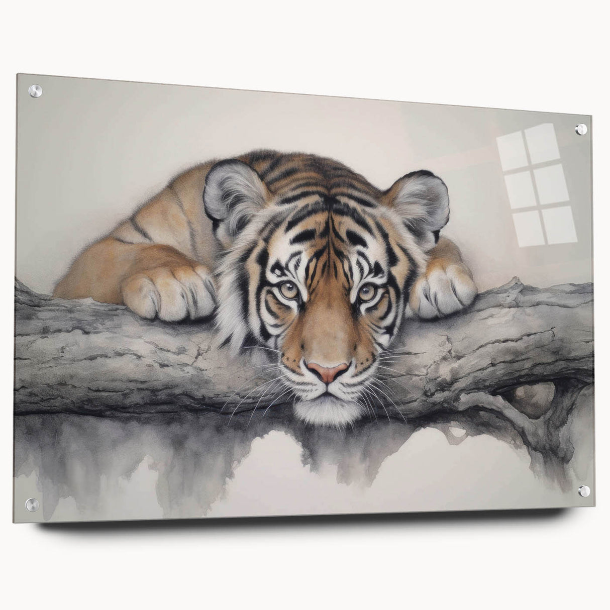 Acrylic wall art collection showcasing a vibrant tiger design, displayed in a modern setting with elegant pins. Perfect for wildlife enthusiasts and home decor.