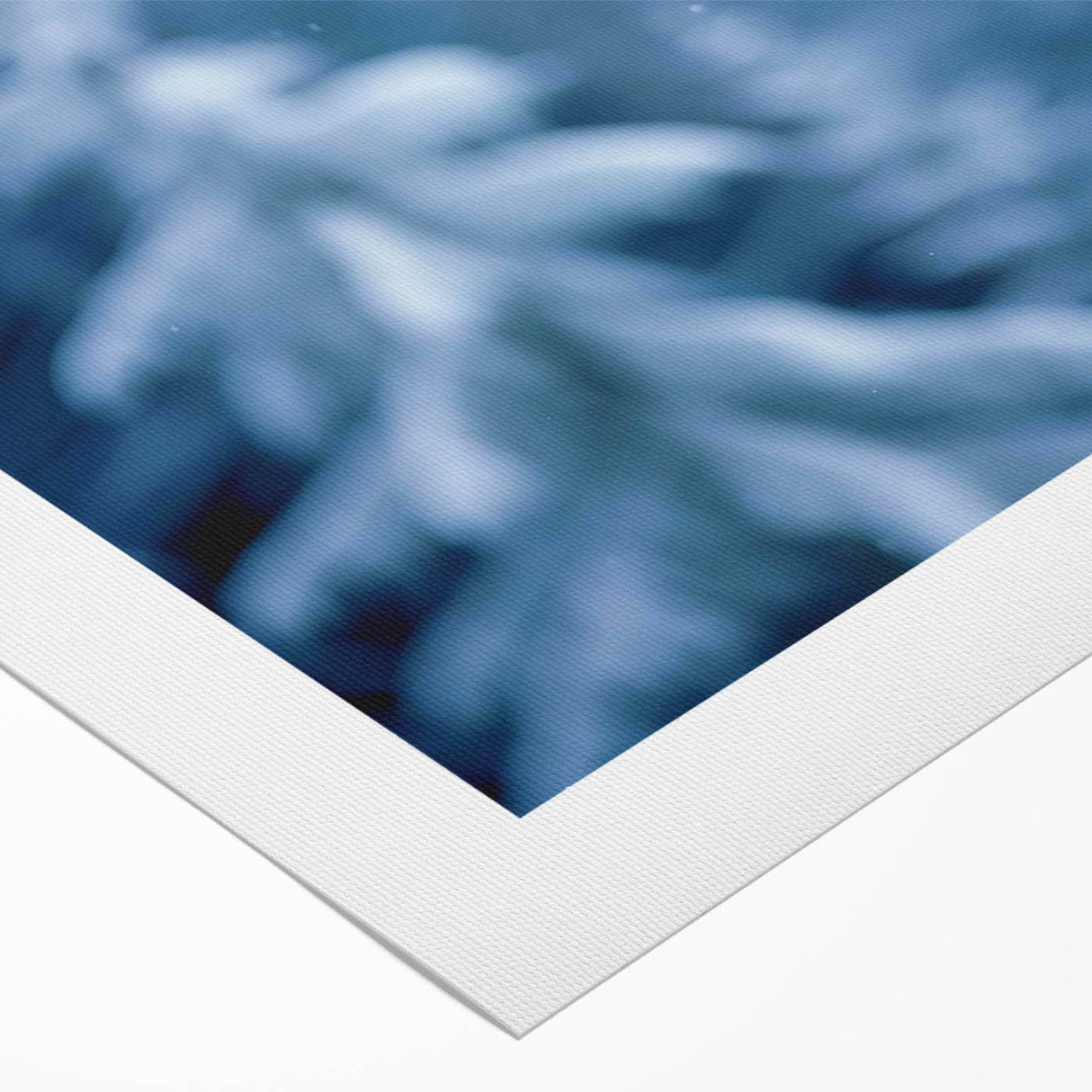 Artistic rolled canvas featuring a striking wolf design, showcasing intricate details and vibrant colors, perfect for wildlife enthusiasts and home decor.