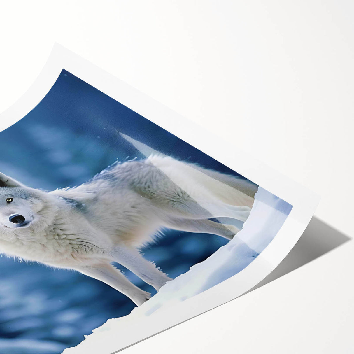 Wolf wall art design featuring a striking black and white illustration of a majestic wolf in a natural setting, ideal for wildlife enthusiasts and home decor.