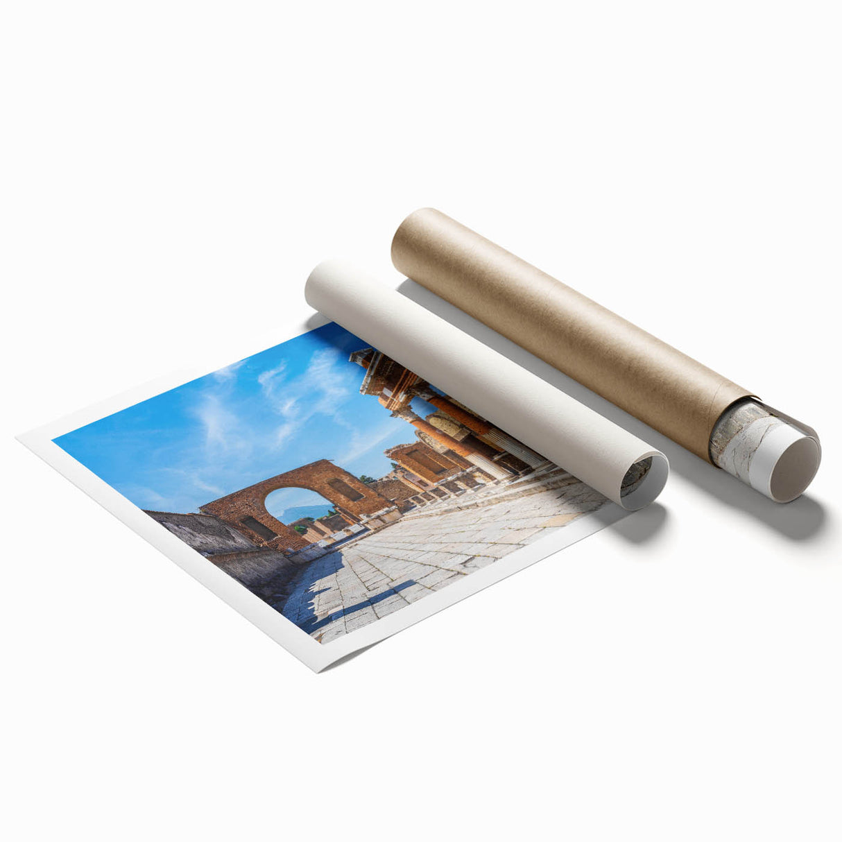 Extra large rolled print of line art flowers on ancient ruins, in muted earth tones, ideal for large living room wall art.