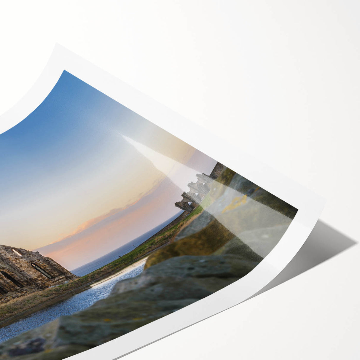 Extra large rolled print featuring line art flowers over ancient ruins, in muted earth tones.