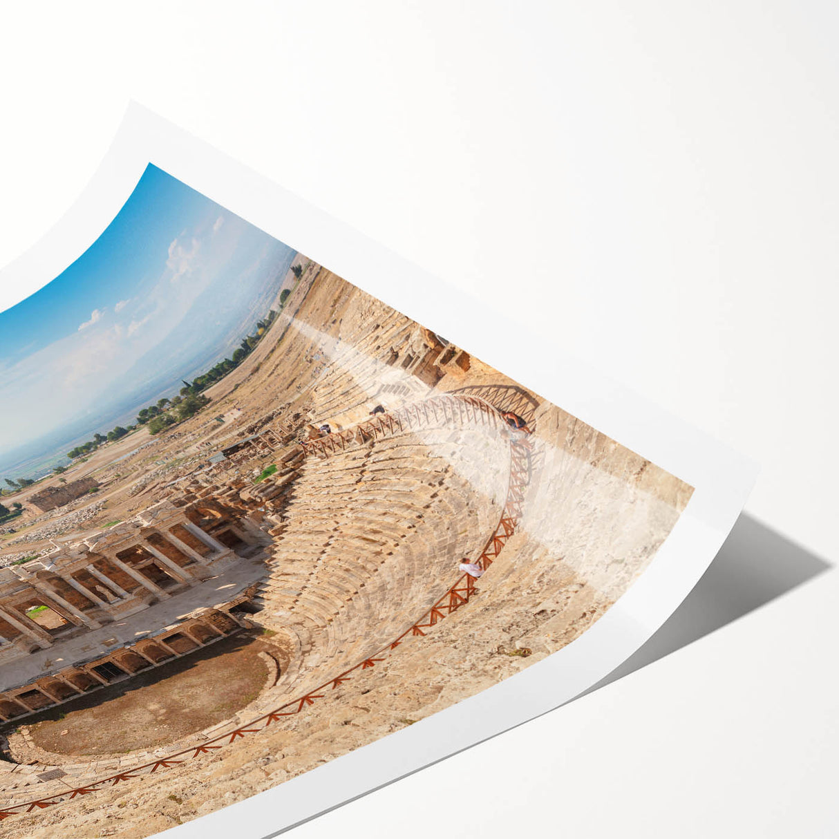 Extra large rolled print featuring line art flowers on ancient ruins, using muted earth tones.