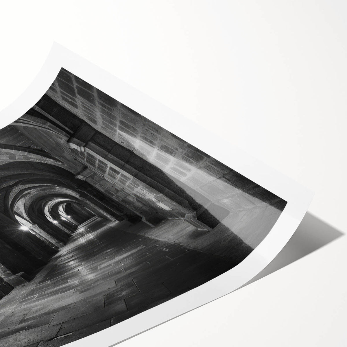 Extra large rolled print featuring line art flowers in black and white, ideal for large living room wall art.