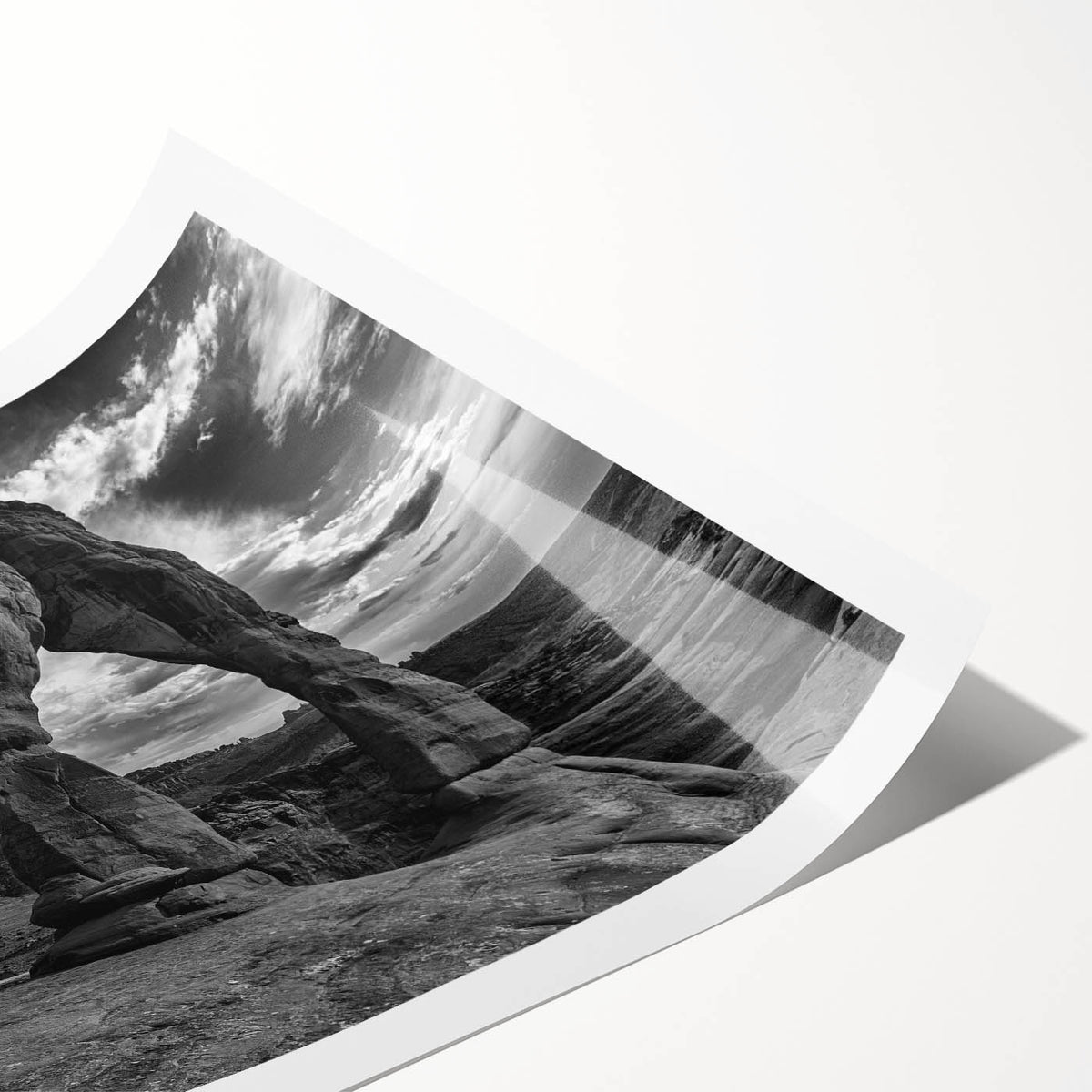 Extra large rolled print featuring line art flowers in monochrome, ideal for large living room wall art.