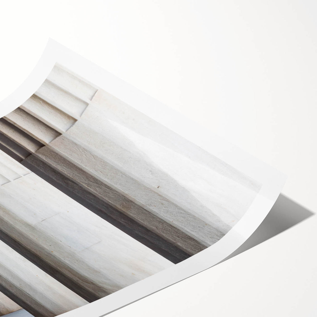 Extra large wall art featuring line art flowers on a rolled print, ideal for large living room decor.