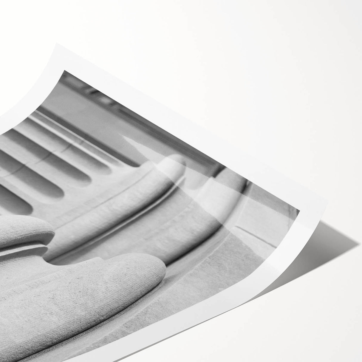 Extra large wall art featuring line art flowers on a rolled print, ideal for large living room decor.