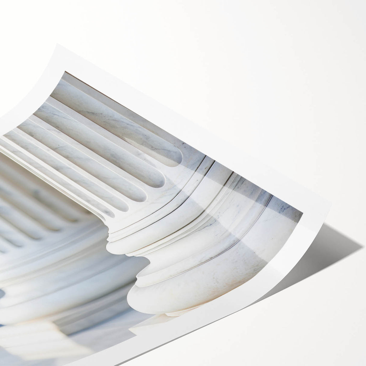 Extra large wall art featuring line art flowers and architecture columns in monochrome, rolled print format.