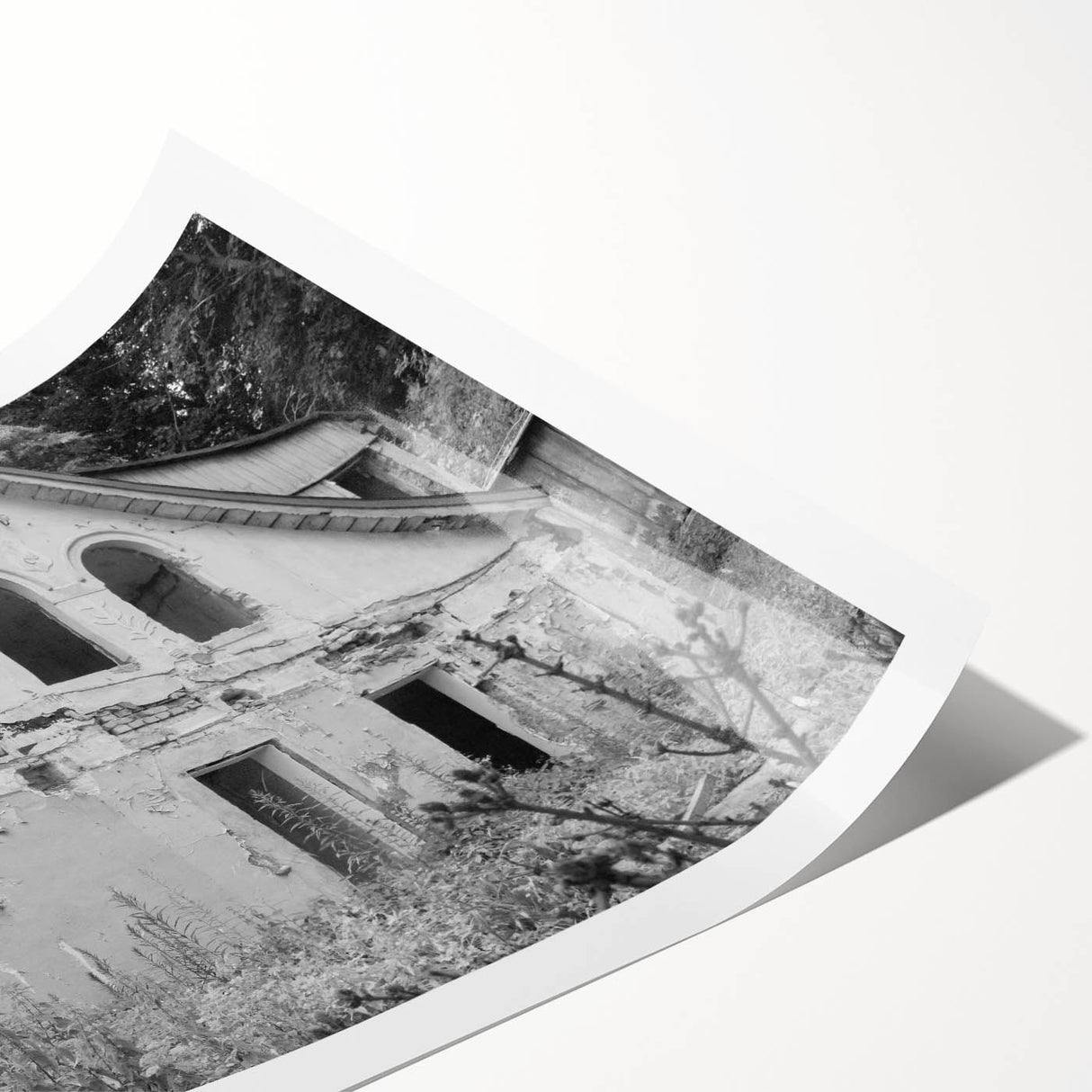 Extra large rolled print featuring line art flowers in black and white, ideal for large living room wall art.