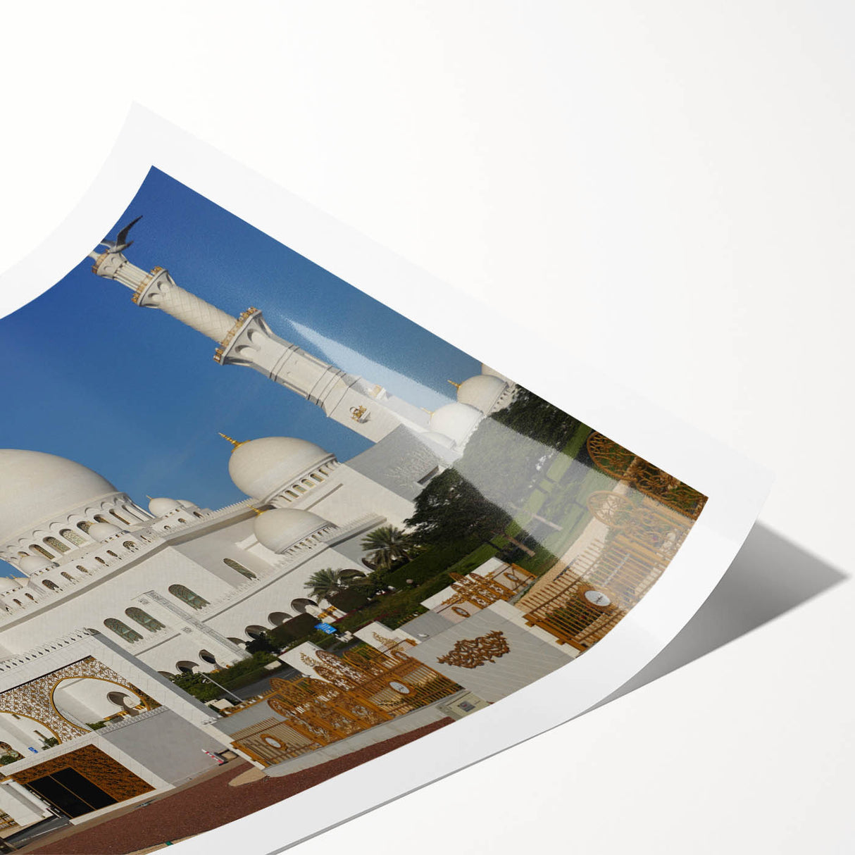 Extra large rolled print featuring line art flowers in black and white, ideal for large living room wall art.