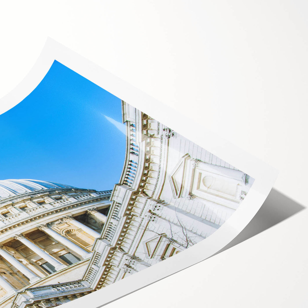 Extra large wall art featuring line art flowers with muted earth tones on a rolled canvas.