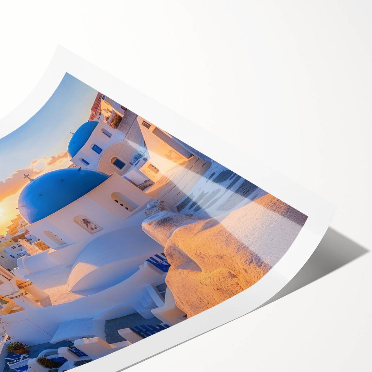 Extra large wall art featuring line art flowers in black and white on a rolled print, suitable for large living room decor.