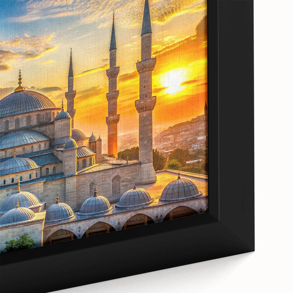 Extra large framed canvas featuring a close-up of colorful, textured domes in a black background.