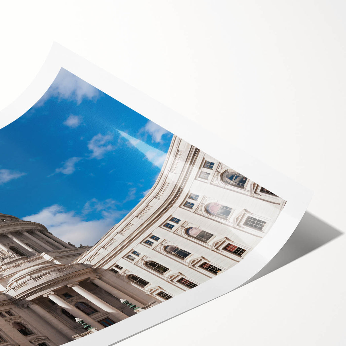 Extra large rolled print featuring line art flowers in muted earth tones, ideal for large living room wall decor.