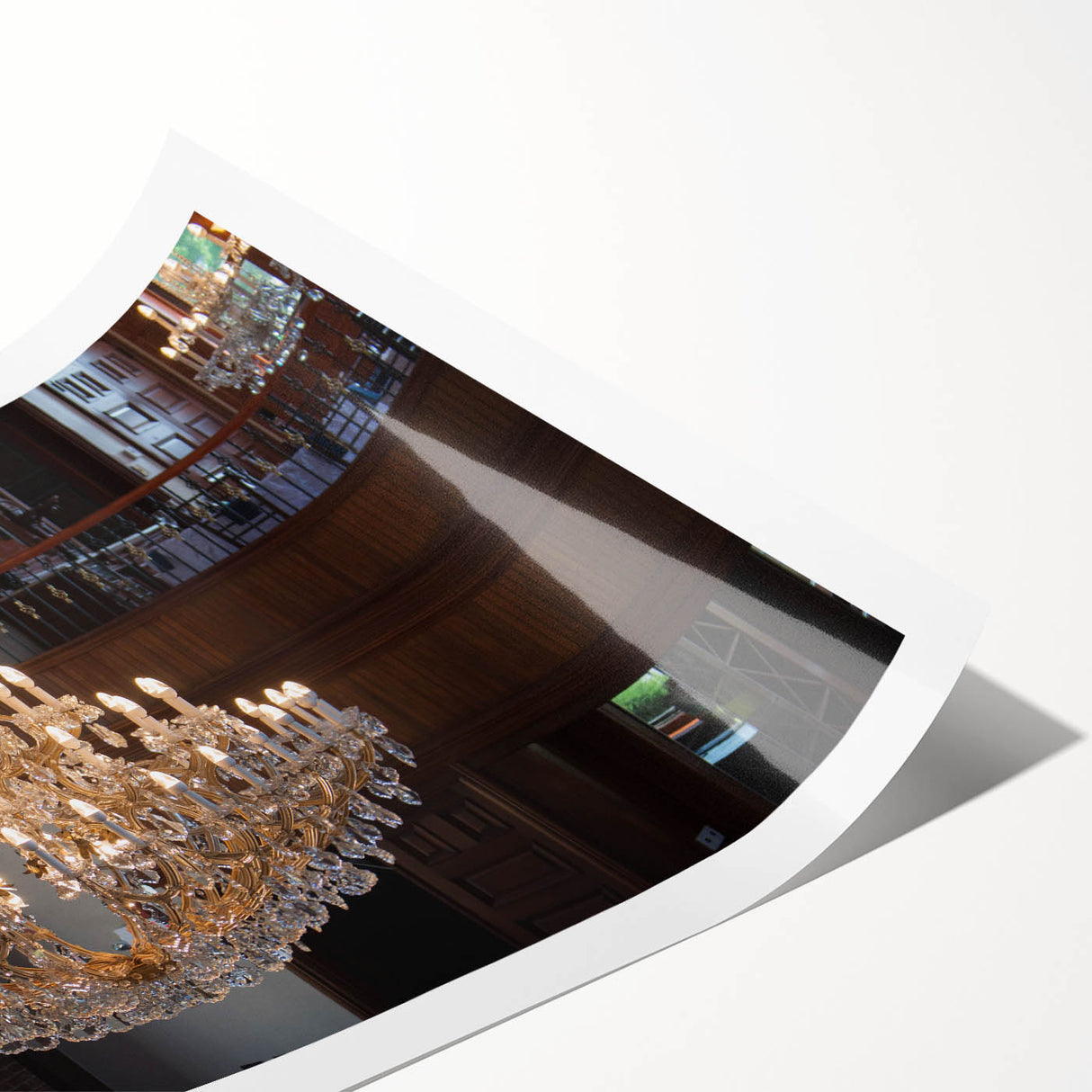 Extra large wall art featuring line art flowers in black on white, rolled print, suitable for large living room decor.