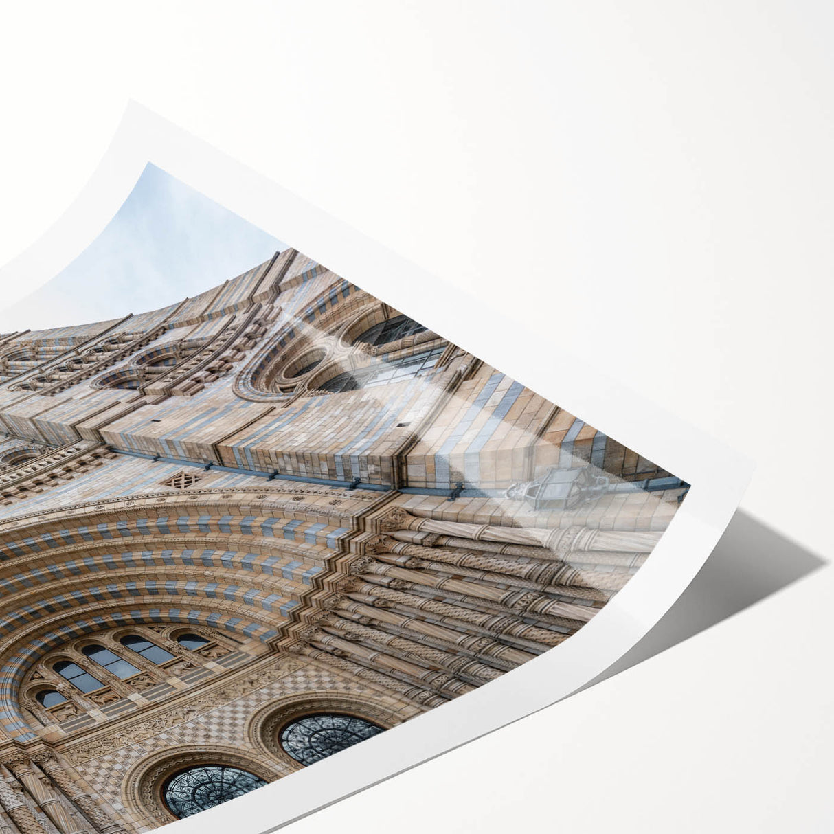 Extra large rolled print featuring line art flowers in a minimalist style, ideal for large living room wall art.