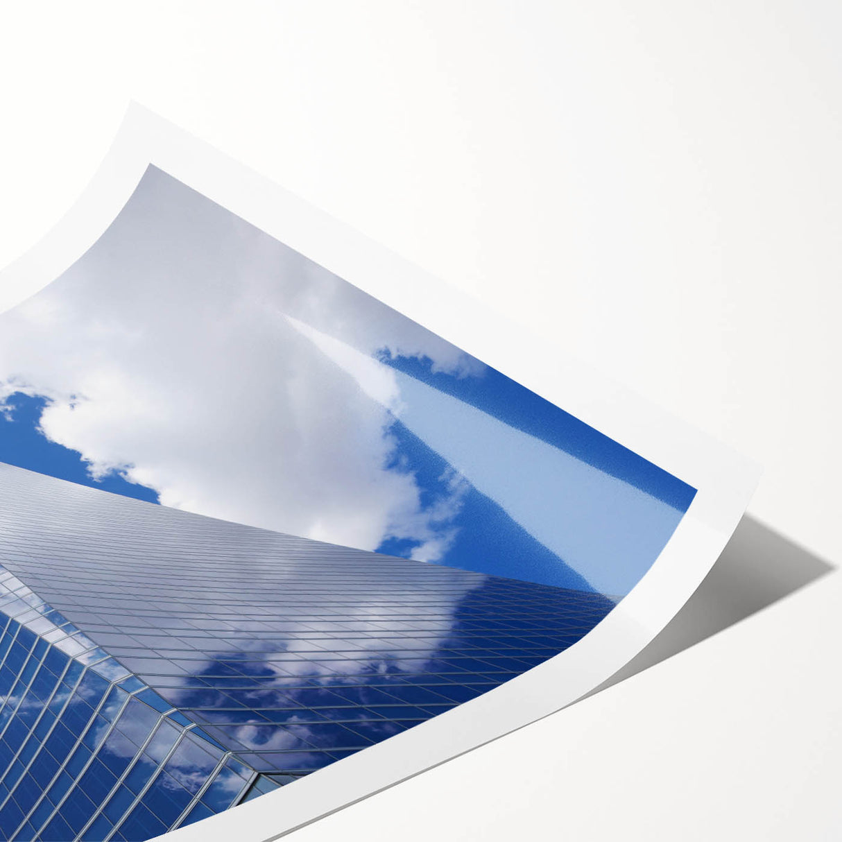 Extra large wall art featuring line art flowers in black and white on a rolled print, suitable for large living room décor.