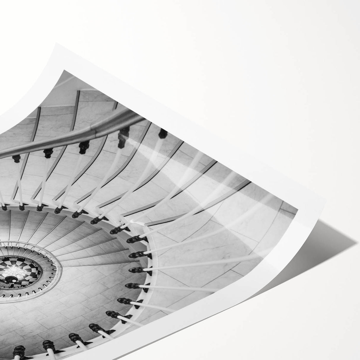 Extra large wall art featuring line art flowers in black and white on a rolled print, suitable for large living room spaces.