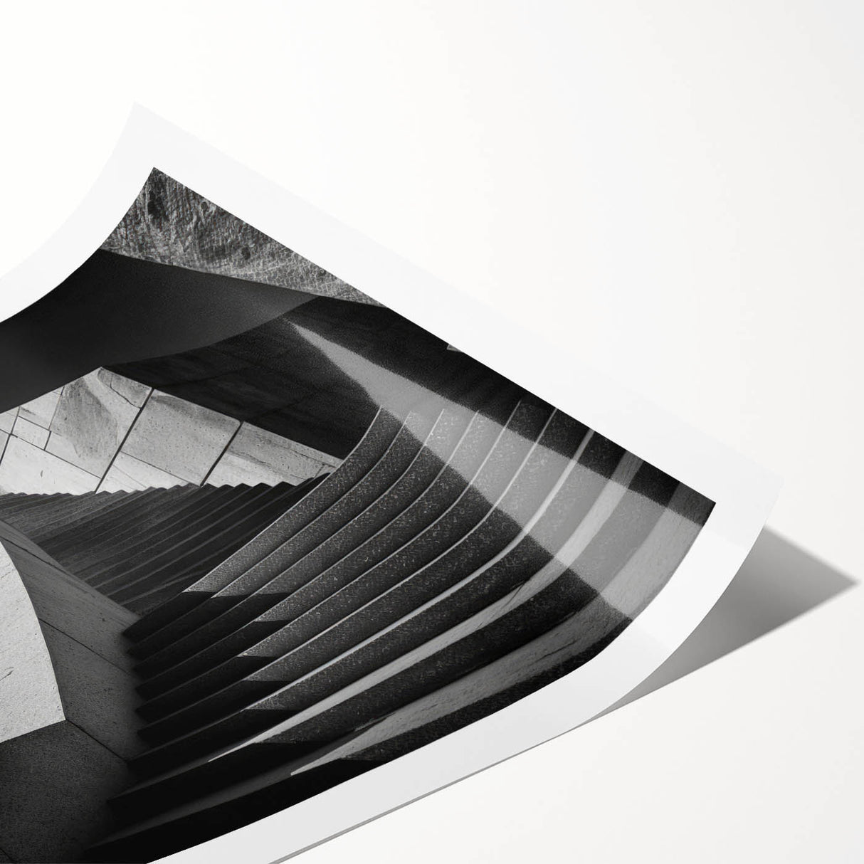 Extra large wall art featuring line art flowers on a rolled print, ideal for large living room decor.