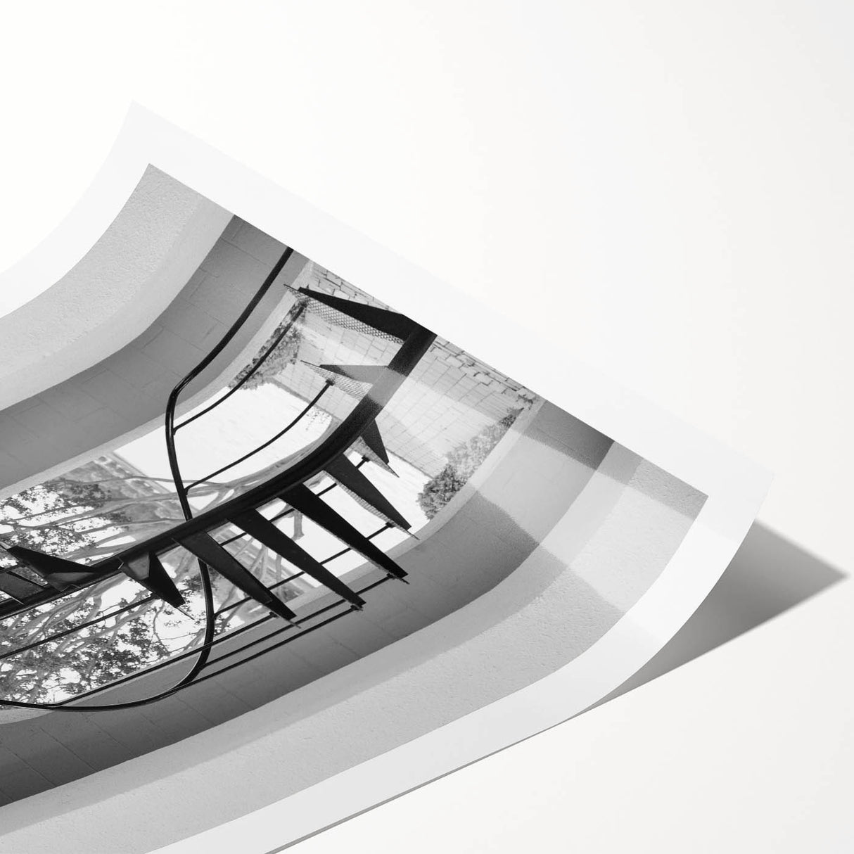 Extra large rolled print featuring line art flowers in black and white, ideal for large living room wall art.