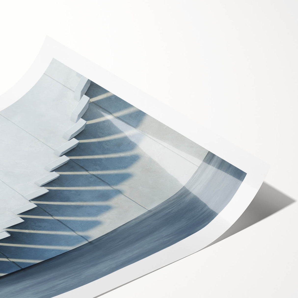 Extra large wall art featuring line art flowers in monochrome, rolled print format, ideal for large living room decor.