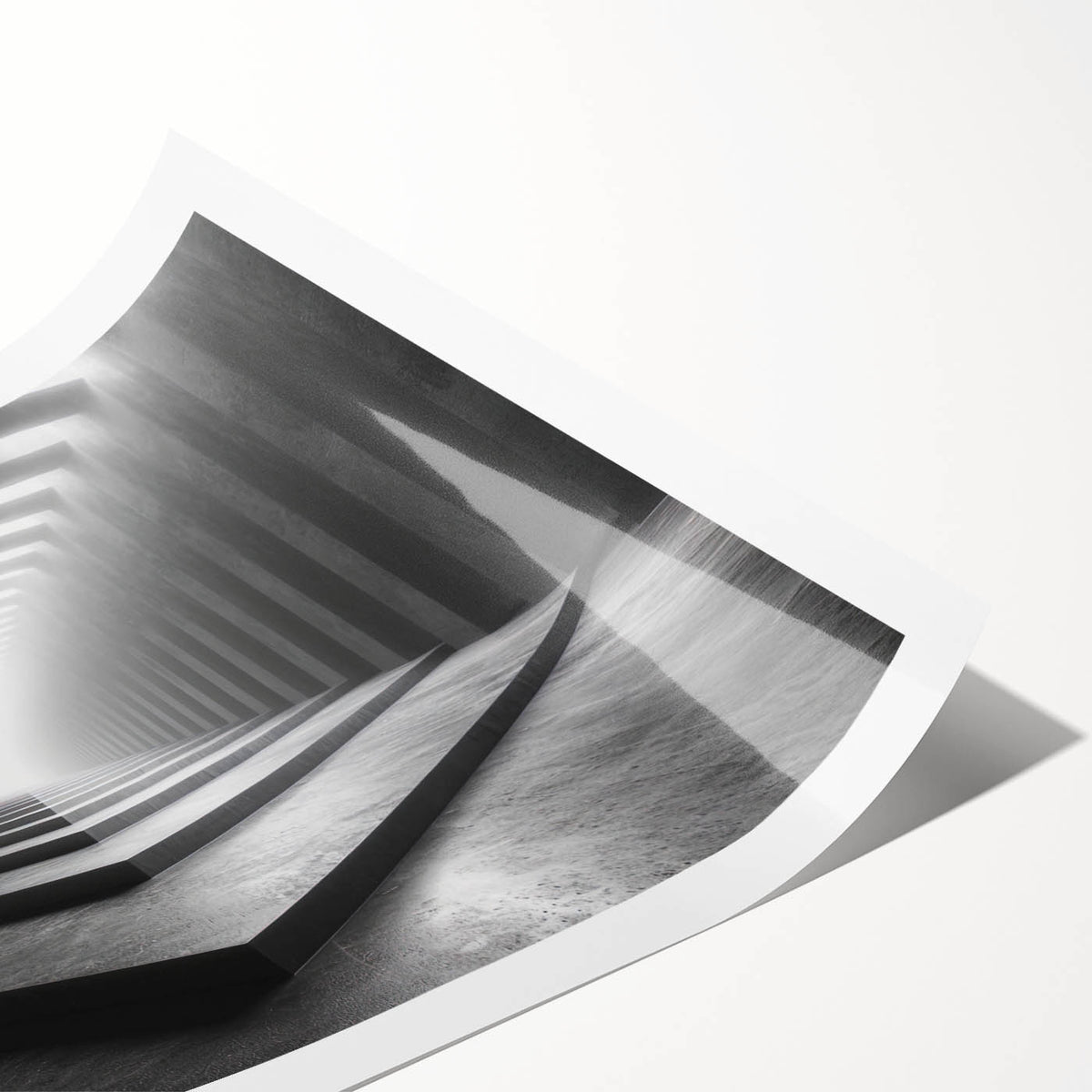 Extra large rolled print featuring line art flowers in monochrome, ideal for large living room wall art.