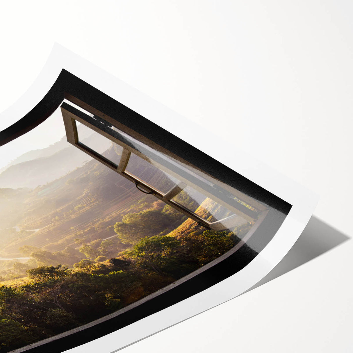 Extra large rolled print featuring line art flowers in black and white, ideal for large living room wall art.