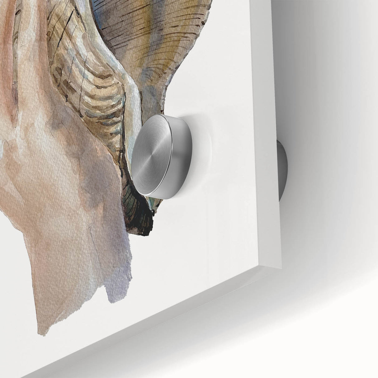 Coastal Wall Art - Nautical Conch Shell Print for Beach-Themed Decor