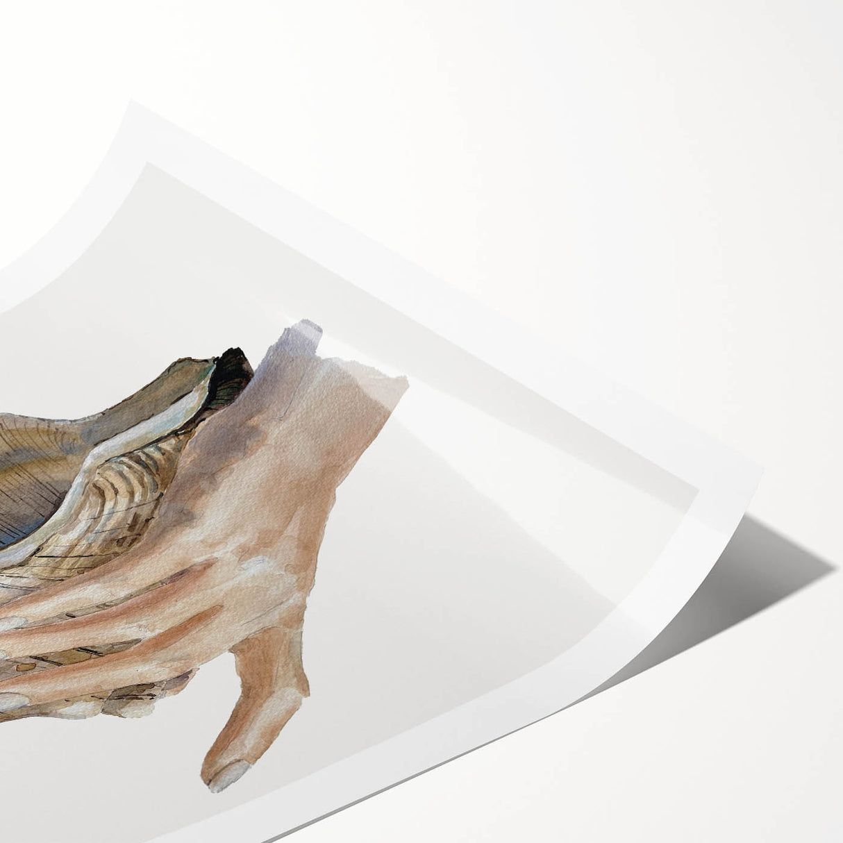 Coastal Wall Art - Nautical Conch Shell Print for Beach-Themed Decor