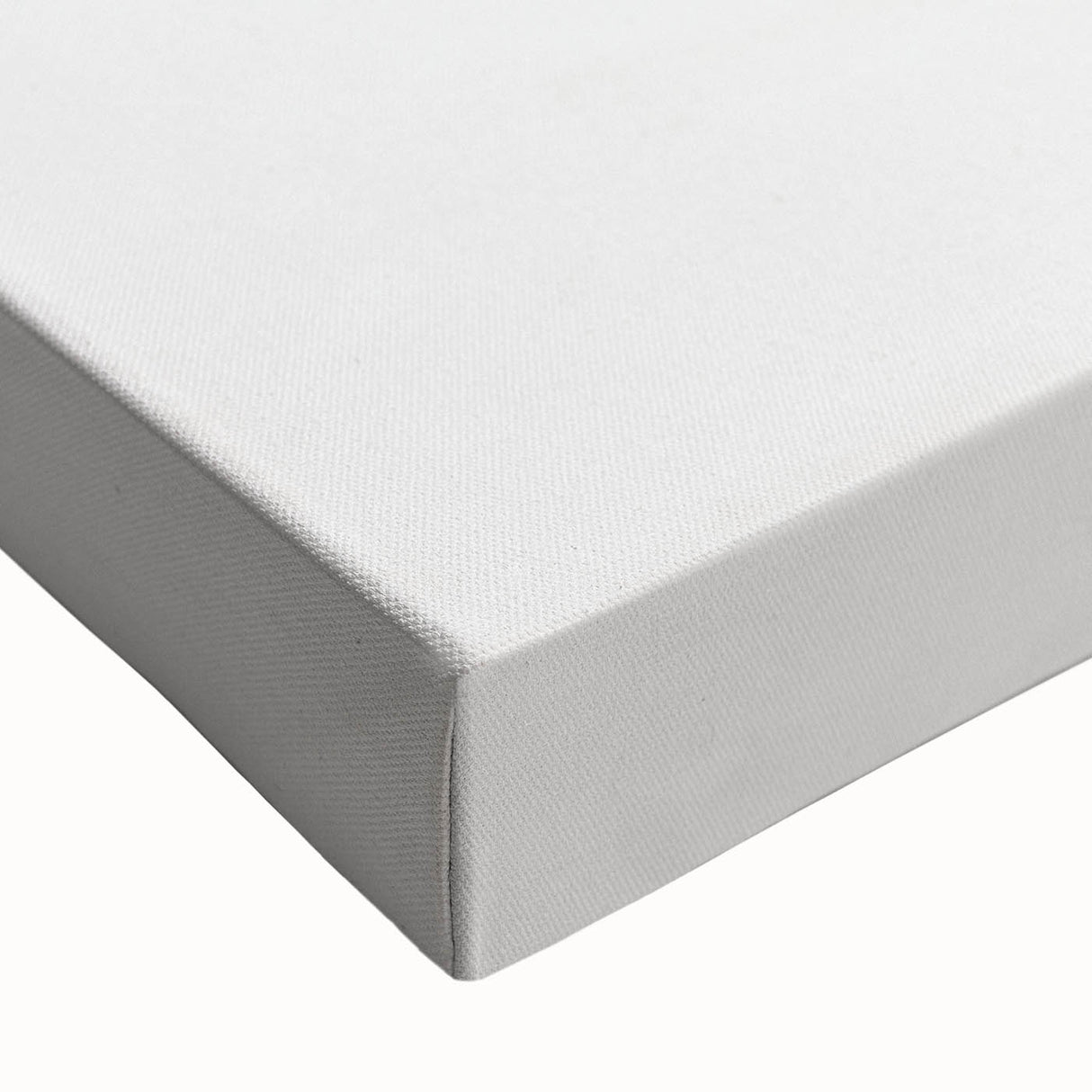 Coastal Wall Art - Nautical Conch Shell Print for Beach-Themed Decor