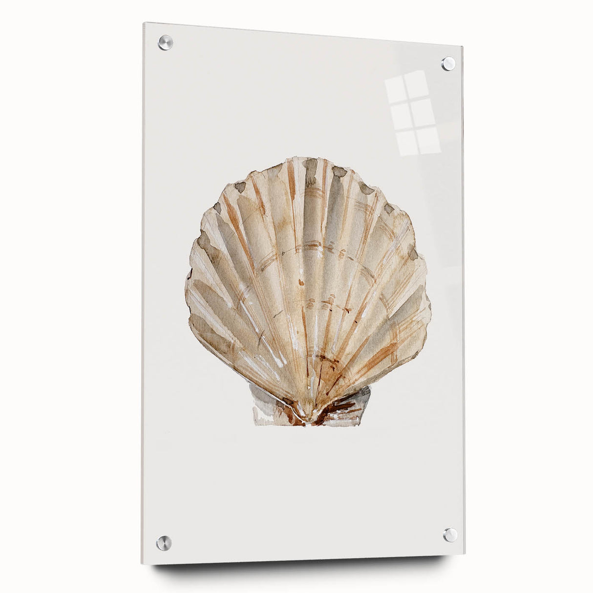 Coastal Wall Art - Nautical Seashell Beach-Themed Decor for Seaside Homes