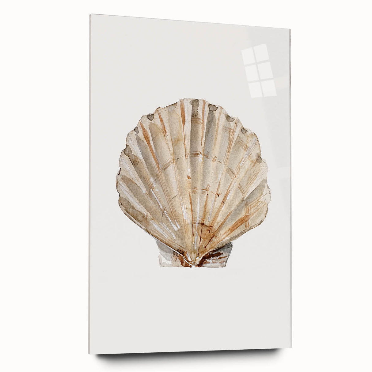 Coastal Wall Art - Nautical Seashell Beach-Themed Decor for Seaside Homes