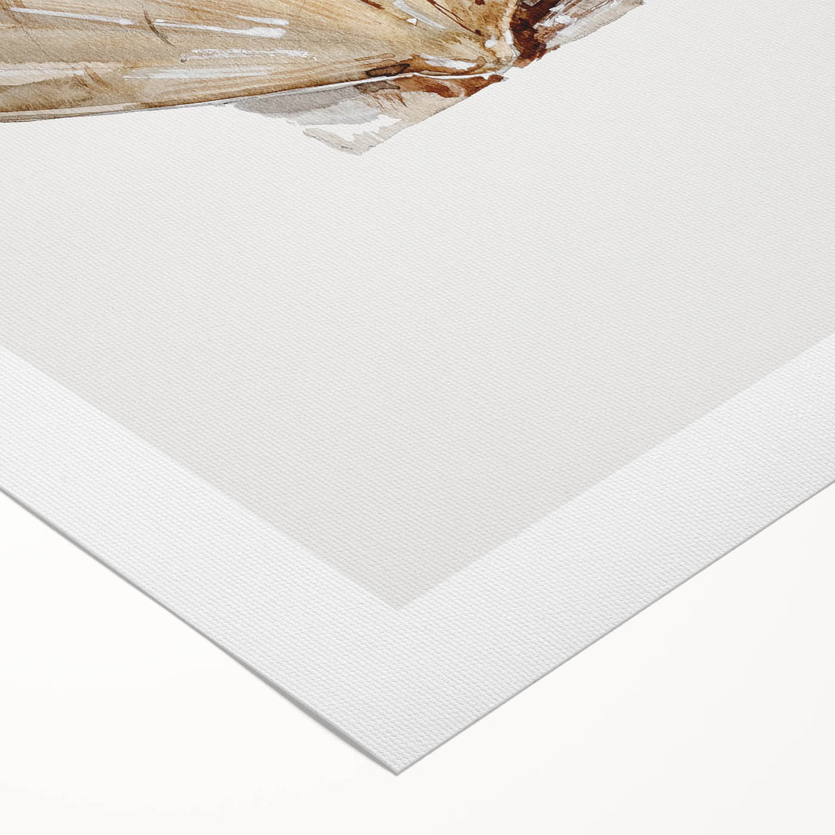 Coastal Wall Art - Nautical Seashell Beach-Themed Decor for Seaside Homes