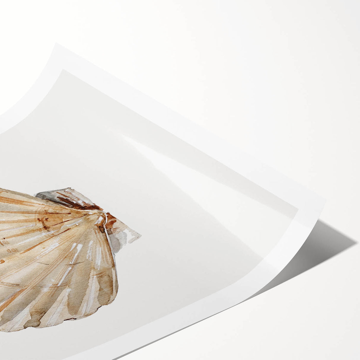 Coastal Wall Art - Nautical Seashell Beach-Themed Decor for Seaside Homes