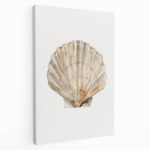 Coastal Wall Art - Nautical Seashell Beach-Themed Decor for Seaside Homes