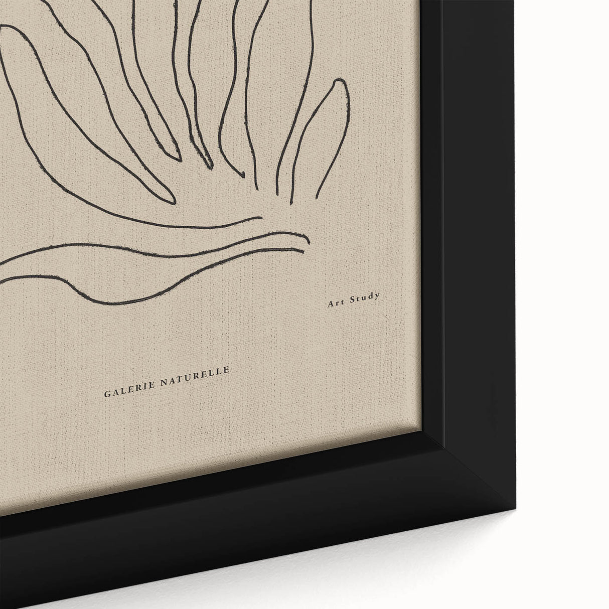 Minimalist Botanical Study – Modern Abstract Line Art for Wall Decor