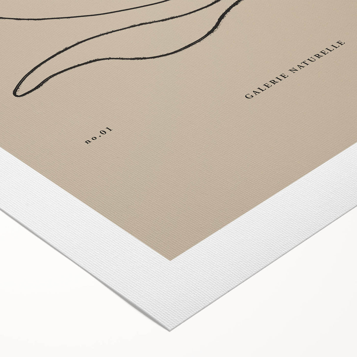 Minimalist Botanical Study – Modern Abstract Line Art for Wall Decor