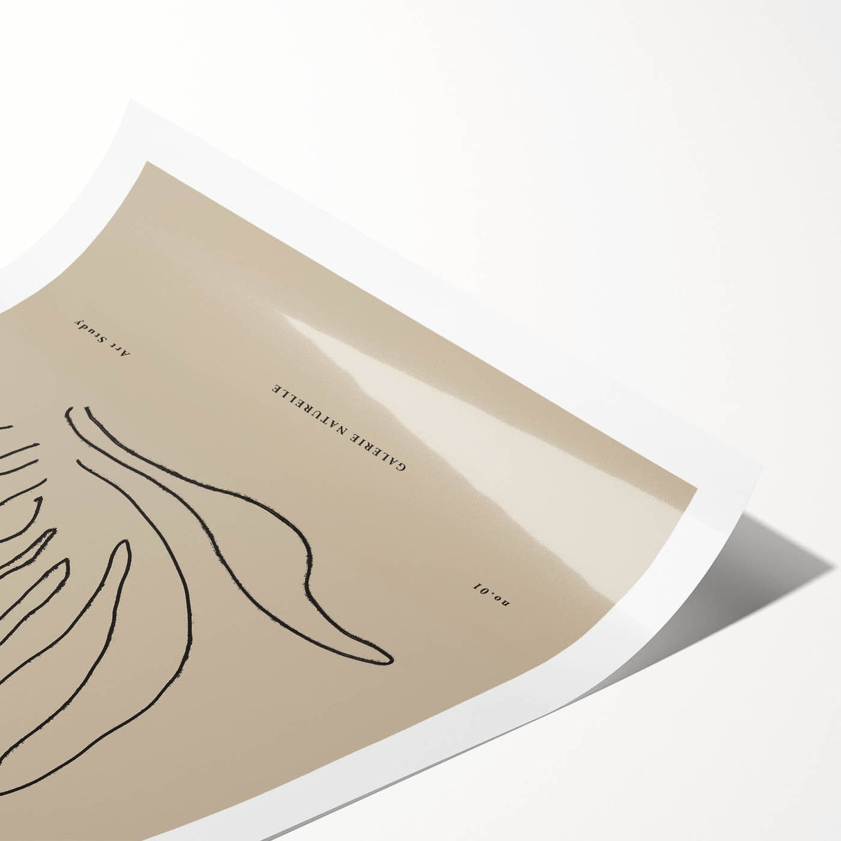 Minimalist Botanical Study – Modern Abstract Line Art for Wall Decor