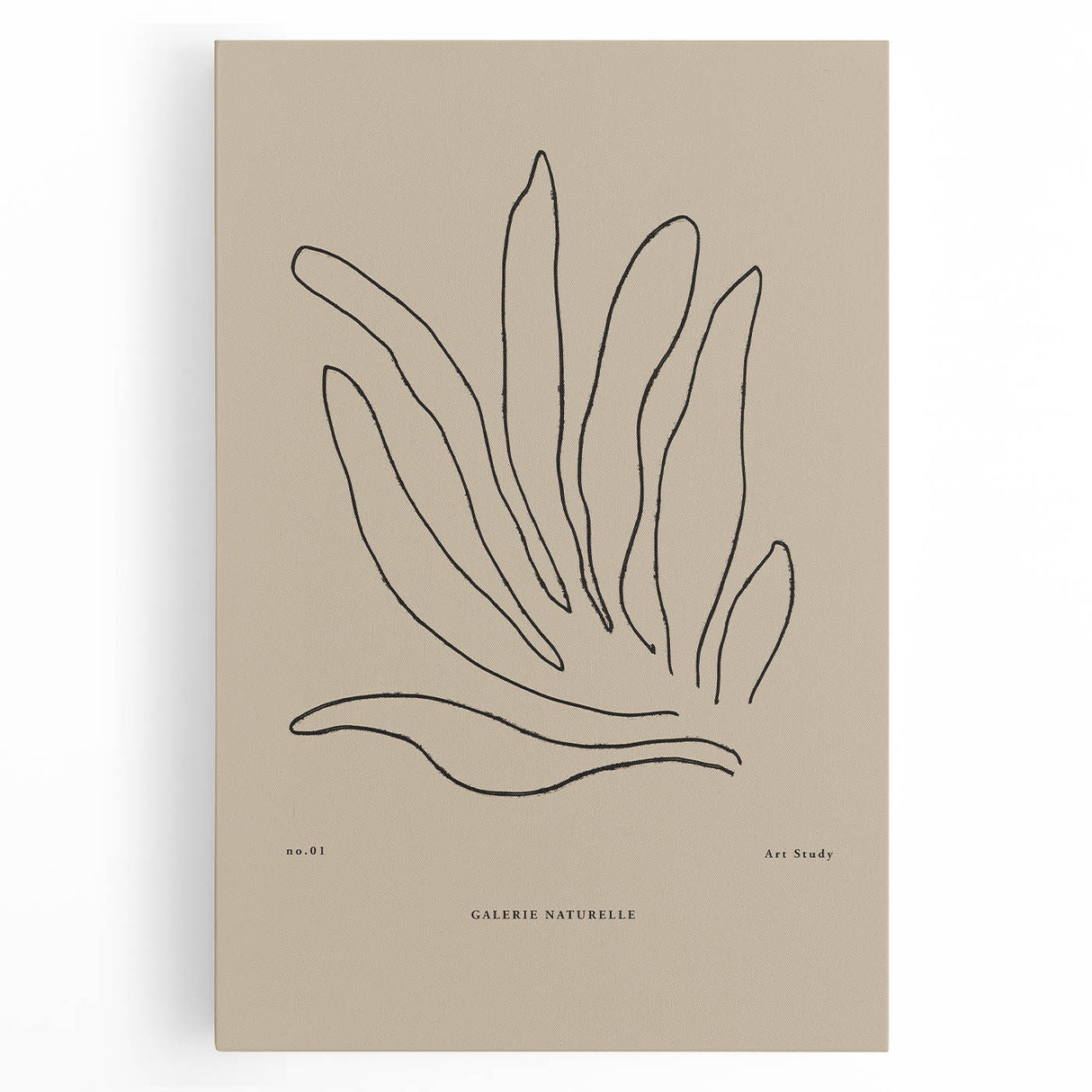 Minimalist Botanical Study – Modern Abstract Line Art for Wall Decor