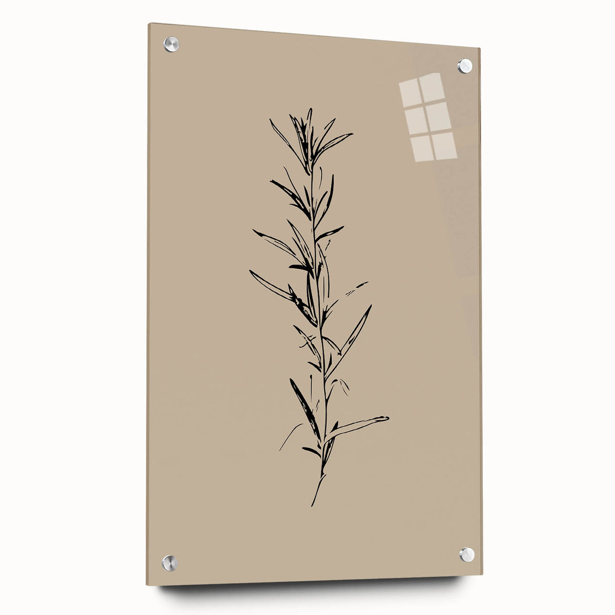 Minimalist Botanical Line Art – Elegant Plant Study for Modern Wall Decor