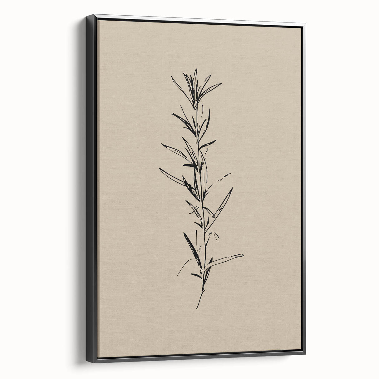 Minimalist Botanical Line Art – Elegant Plant Study for Modern Wall Decor