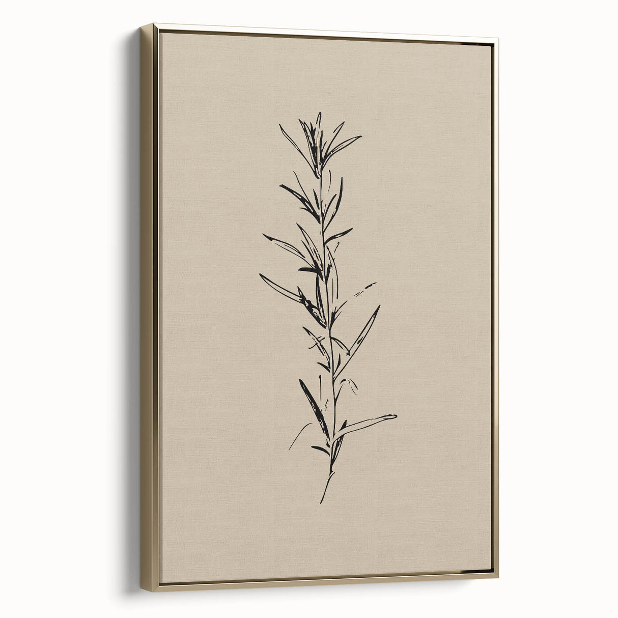 Minimalist Botanical Line Art – Elegant Plant Study for Modern Wall Decor