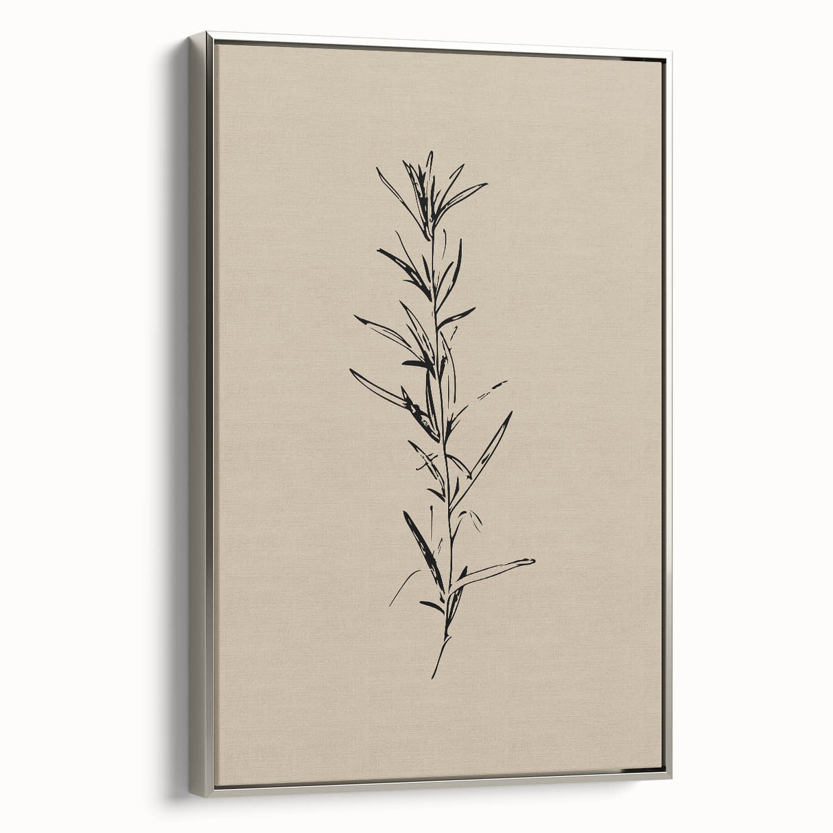 Minimalist Botanical Line Art – Elegant Plant Study for Modern Wall Decor