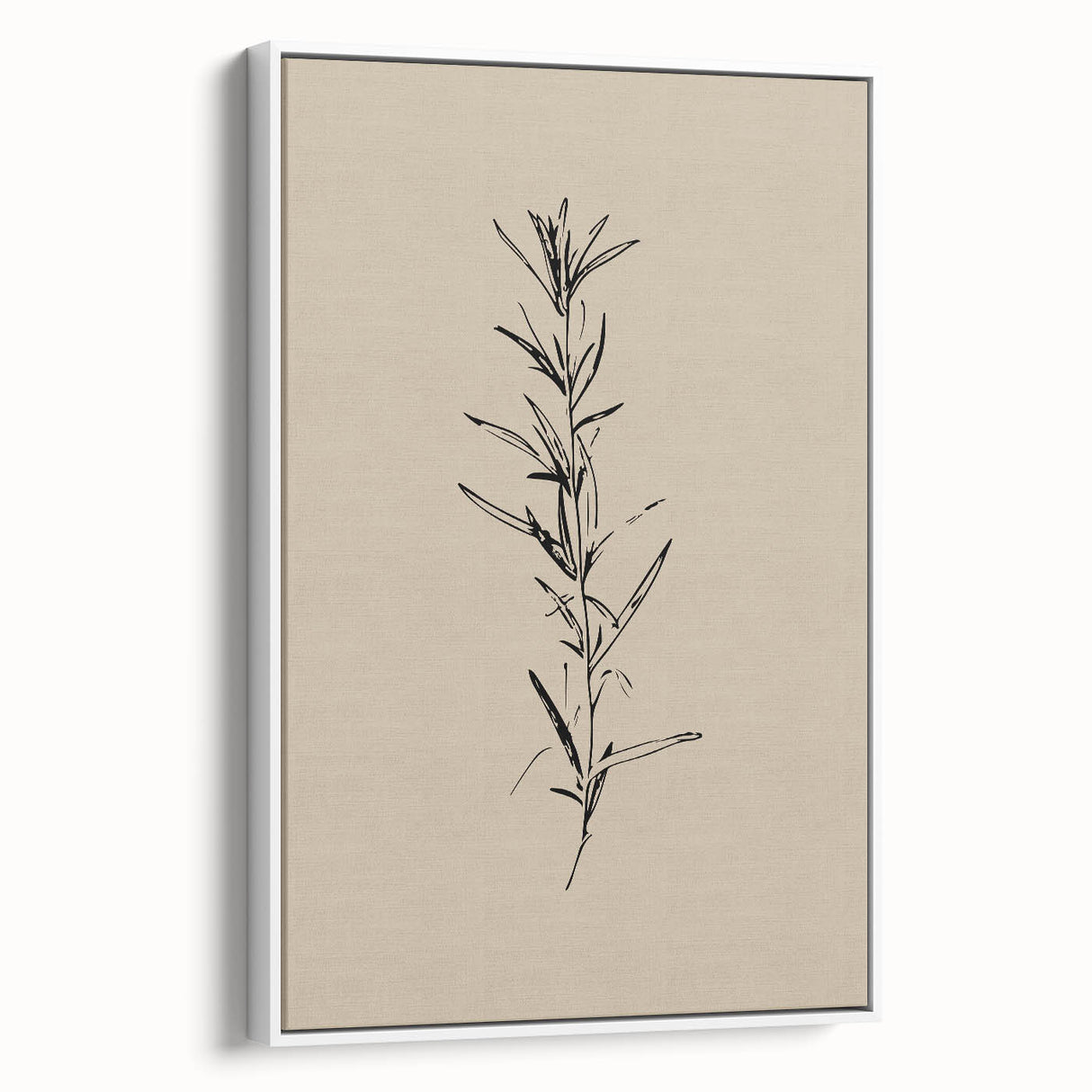 Minimalist Botanical Line Art – Elegant Plant Study for Modern Wall Decor