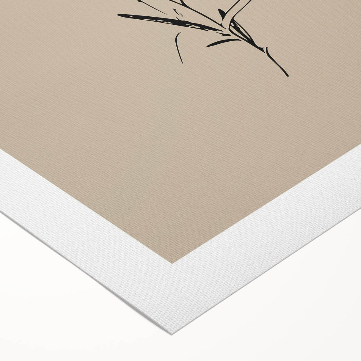 Minimalist Botanical Line Art – Elegant Plant Study for Modern Wall Decor