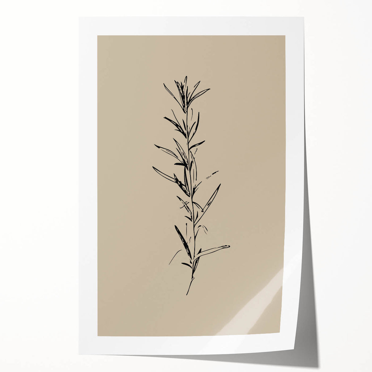 Minimalist Botanical Line Art – Elegant Plant Study for Modern Wall Decor