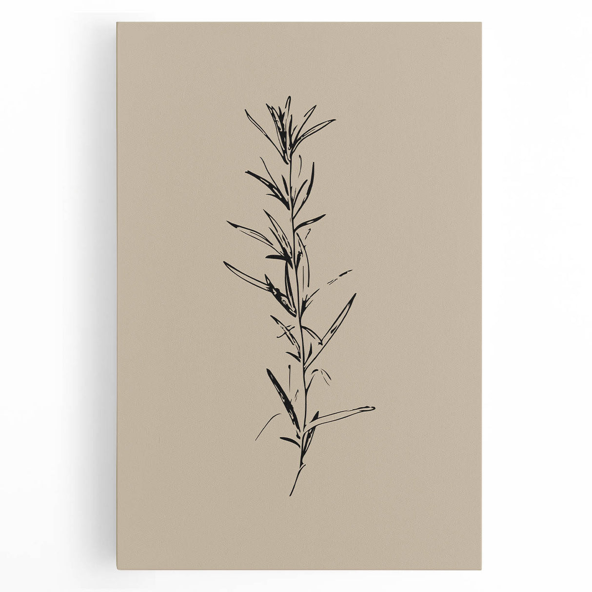 Minimalist Botanical Line Art – Elegant Plant Study for Modern Wall Decor