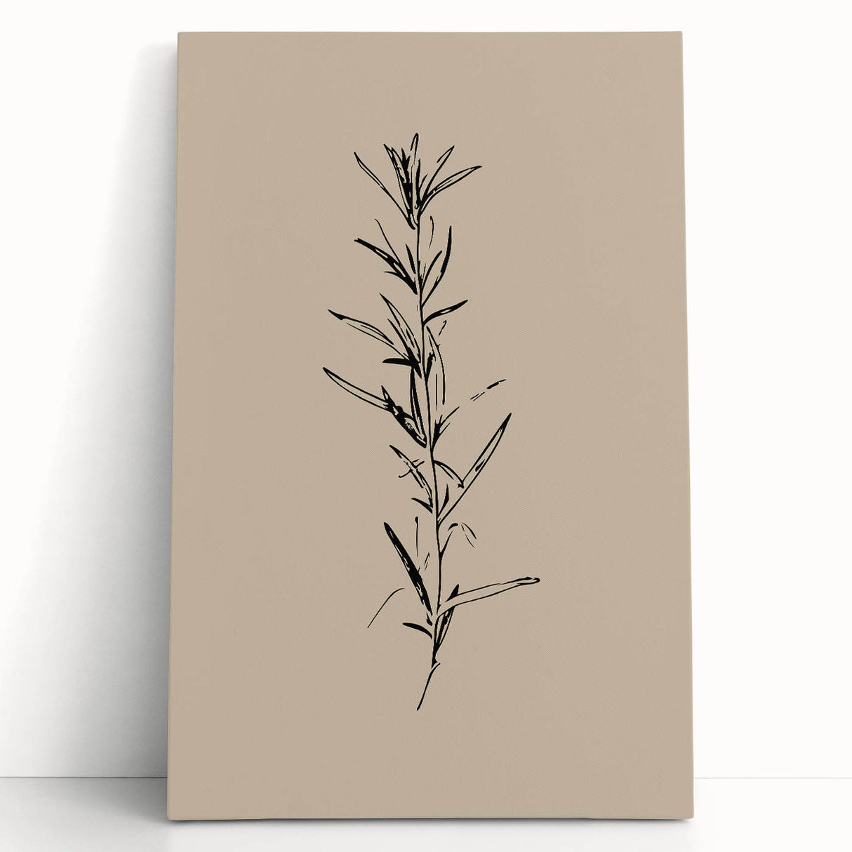 Minimalist Botanical Line Art – Elegant Plant Study for Modern Wall Decor