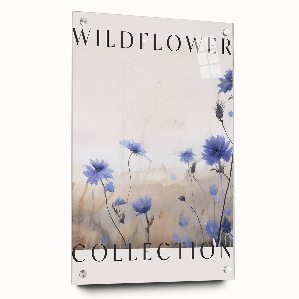 Wildflower Collection – Elegant Minimalist Botanical Art for Modern Decor